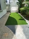 Artificial Grass Others