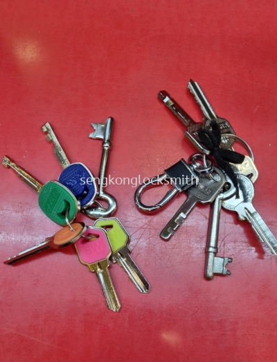 duplicate house key 