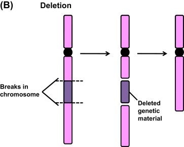 Microdeletion syndromes  by NiPT (Non-invasive Prenatal Testing)