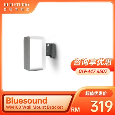 Bluesound WM100 Pulse Flex Wall Mount Bracket