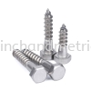 S/S 304 DIN 571 Hex Coach Screw Coach Screw  Hexagon Bolts