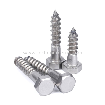 S/S 304 DIN 571 Hex Coach Screw