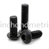 Grade 10.9 ISO 7380 Button Socket Head Cap Screw (BO) Cap Screw