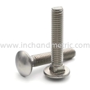 S/S 304 DIN 603 Carriage Bolt