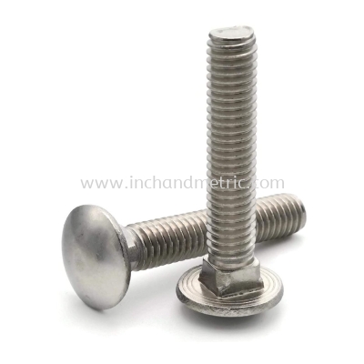 S/S 304 DIN 603 Carriage Bolt