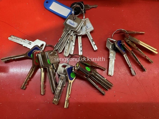 Professional locksmith duplicating keys