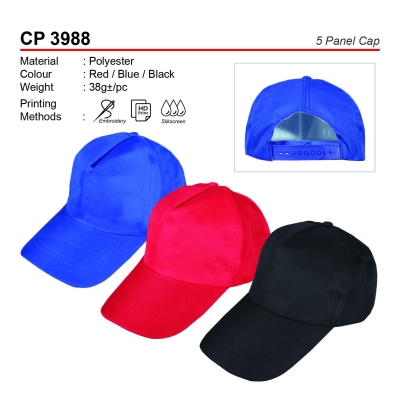 CP 3988 5 Panel Cap