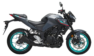 Yamaha MT-25 (CYAN)