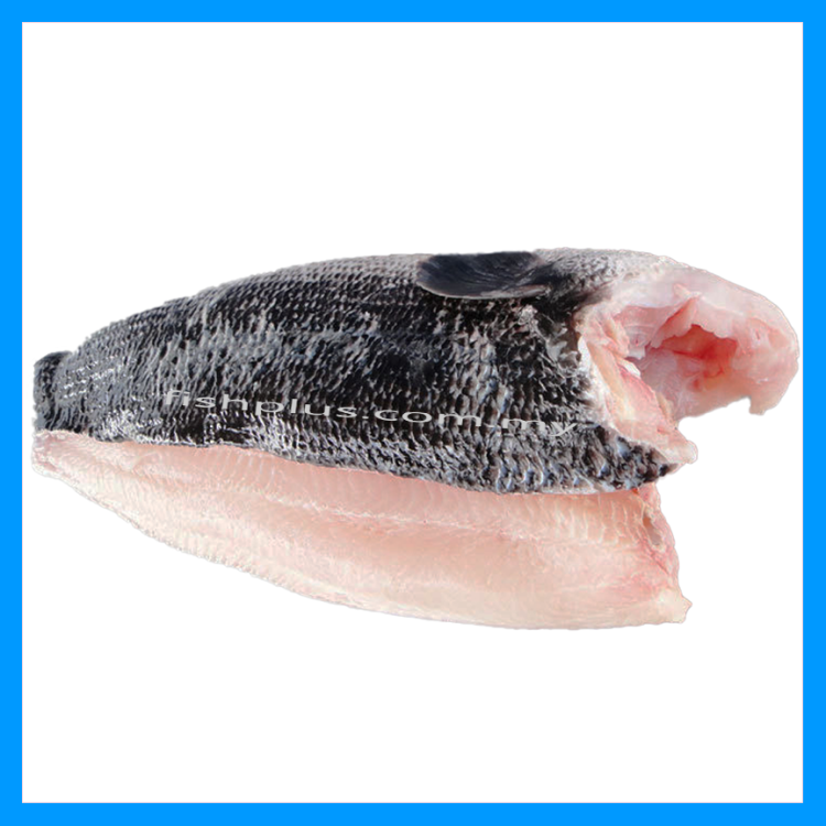 Toman Fillet / Giant Snakehead Fillet