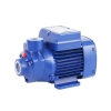 PKM60 WERTO Peripheral Pump WERTO Water Pump