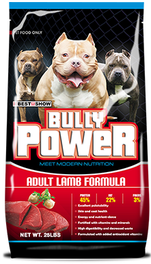 11.33KG BULLY POWER (SENIOR) DRY DOG FOOD 