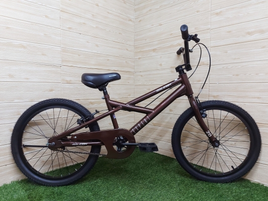 20" Raleigh Expert (2023)