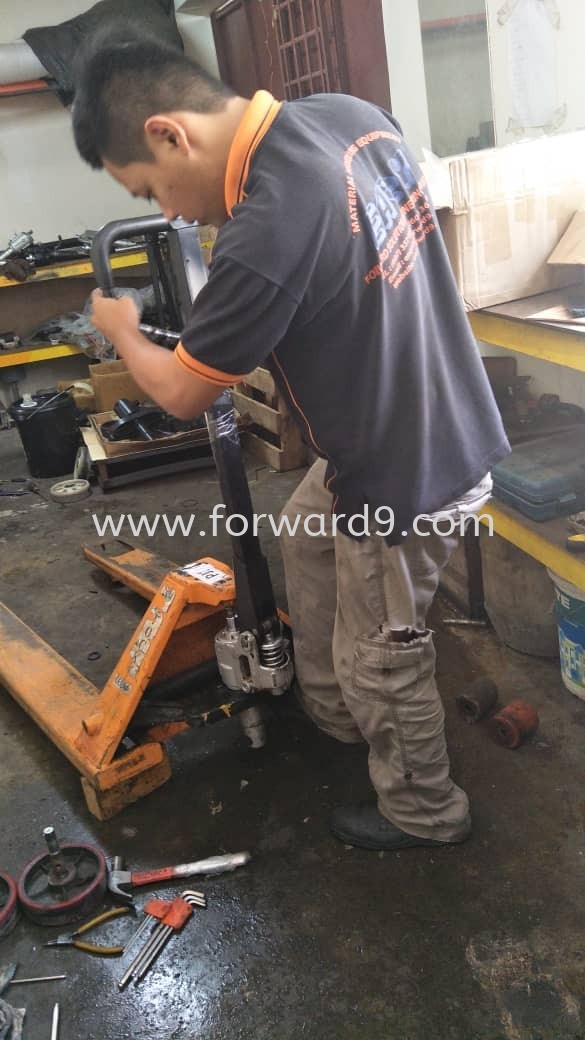 Repair & Services Hand Pallet Truck  Hand Pallet Truck Servicing Hand Pallet Truck Repairing & Maintenance & Servicing Repair & Maintenance Services