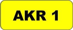 AKR1 All Plate