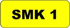 SMK1 All Plate