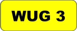 WUG3 VVIP Plate