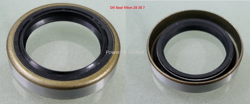 Oil Seal vVton 025 35 7