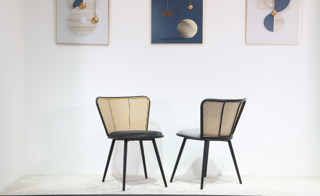 Zyden Dining Chair 