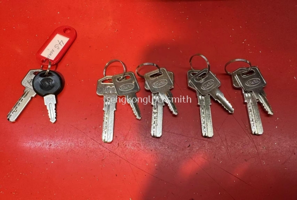 Sengkonglocksmith Professional Duplicate Key