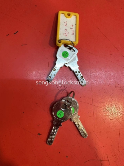 Sengkonglocksmith Professional Duplicate Key