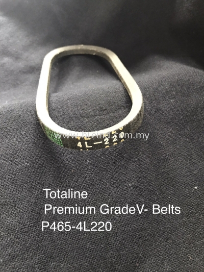 Totaline P465-4L220 