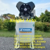 SWAN Air Compressor PV202-50D: 2HP, 8Bar, FAD100L/min, 1phase Swan  Air Compressor