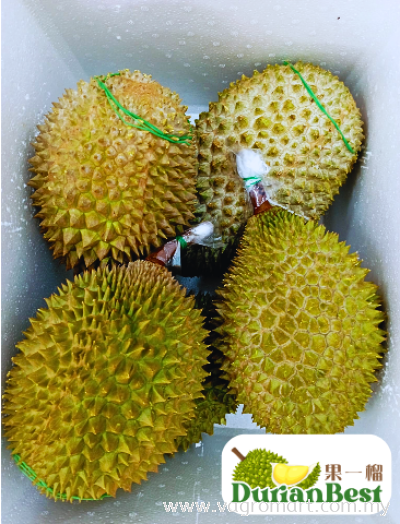 Fresh Musang King 10kg