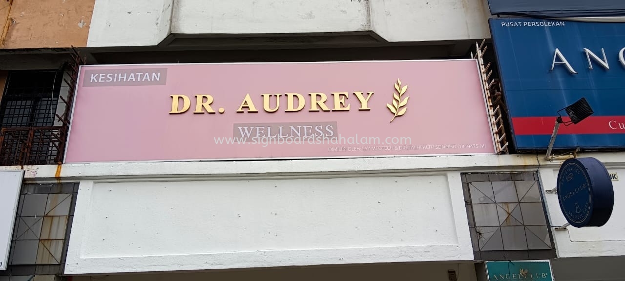 Dr Audrey Wellness - 3D Box Up Stainless Steel Signage