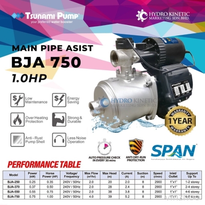 Tsunami BJA-750 (1.0HP) Home Automatic Water Pump Main Pipe Pressure Pump Pam Air