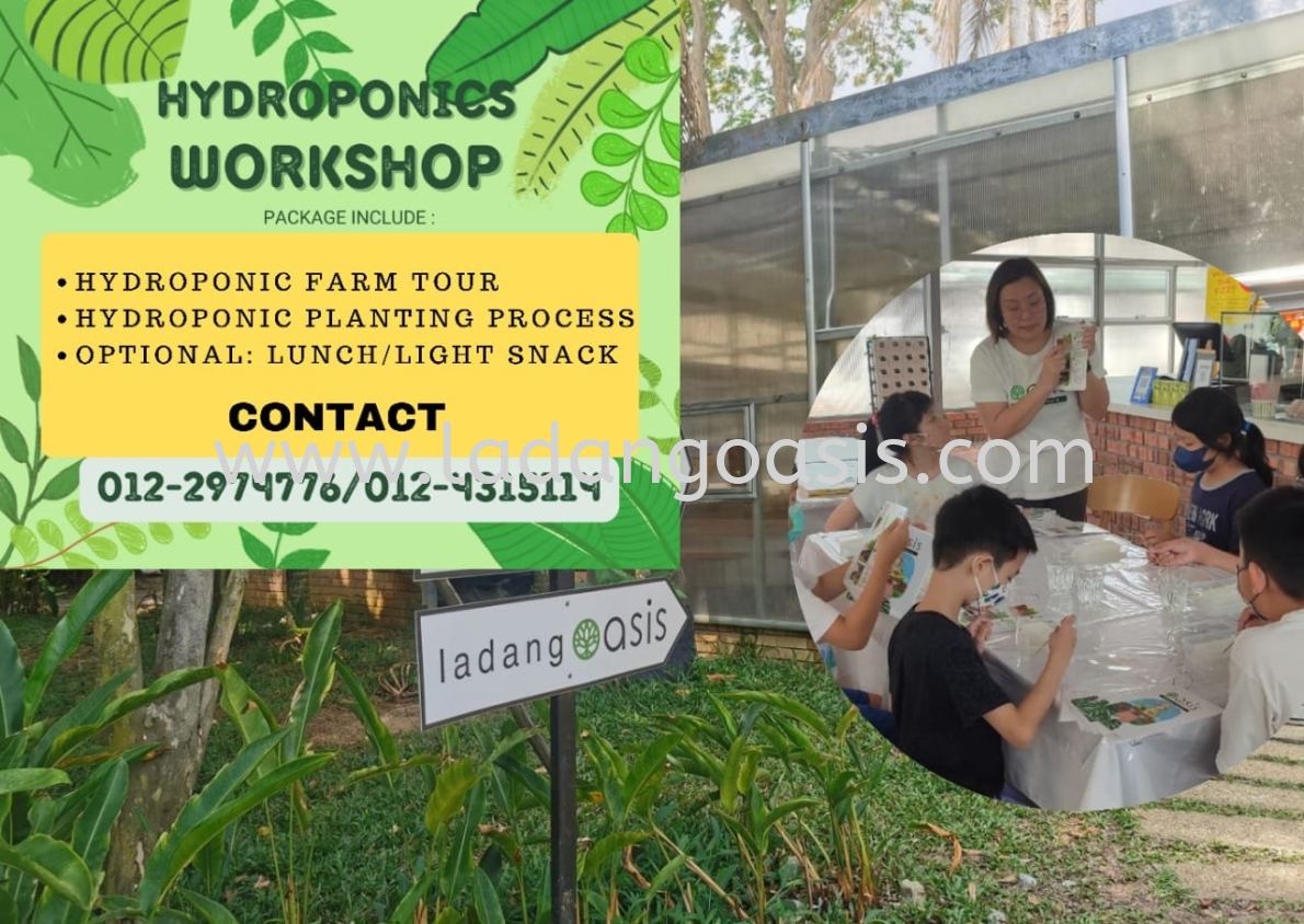 Hydroponics Workshop