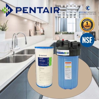 PENTAIR BIG BLUE Washable Outdoor Water Filter 20 Micron C 10"