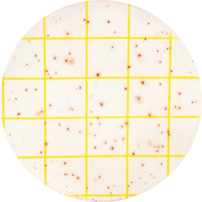 Microbiology Rapid Test