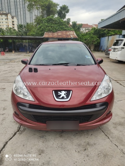 PEUGEOT 207 BODY SPRAY & PAINT 