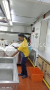 Flies/Flying Insect Control