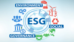 ESG (ENVIRONMENTAL, SOCIAL AND CORPORATE GOVERNANCE)