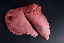 Beef Lung