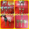 Professional duplication of keys duplicate key
