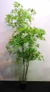 1.8m Heavenly Bamboo QM435 floristkl (Rent Available) Artificial Plant (Sell & Rent)