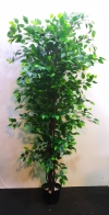 2m Banyan Tree SG429 floristkl (Rent Available) Artificial Plant (Sell & Rent)