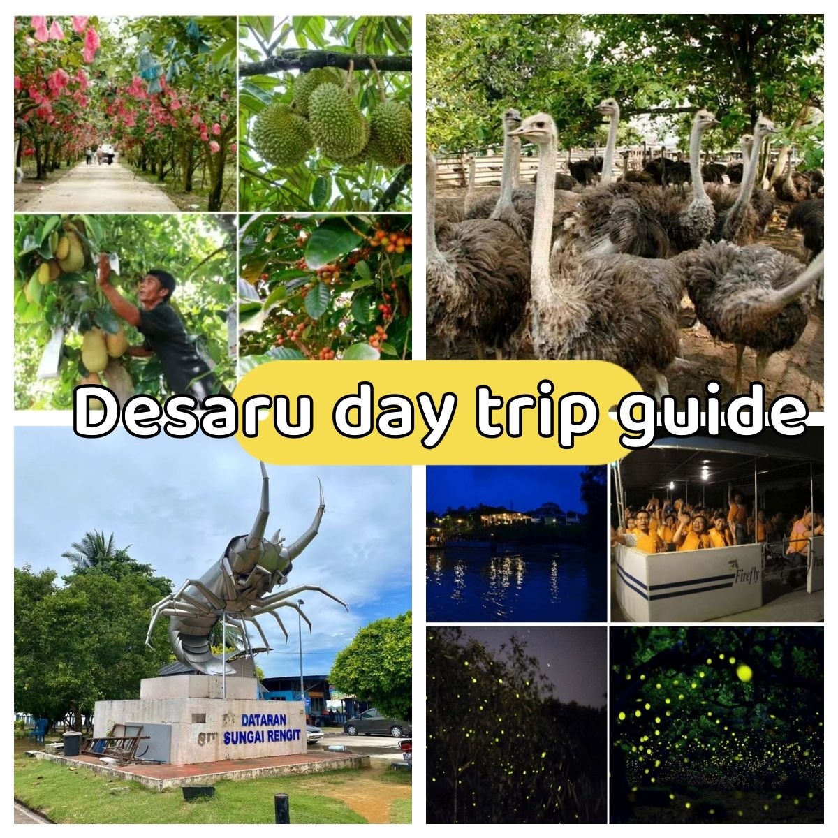 Desaru day trip itinerary guide