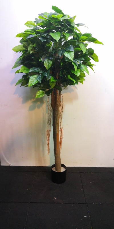 1.5m Happiness Tree AP541 floristkl (Rent Available)
