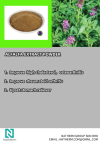 ALFALFA EXTRACT POWDER Halal ingredients