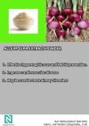 ALLIUM CEPA EXTRACT POWDER Halal ingredients