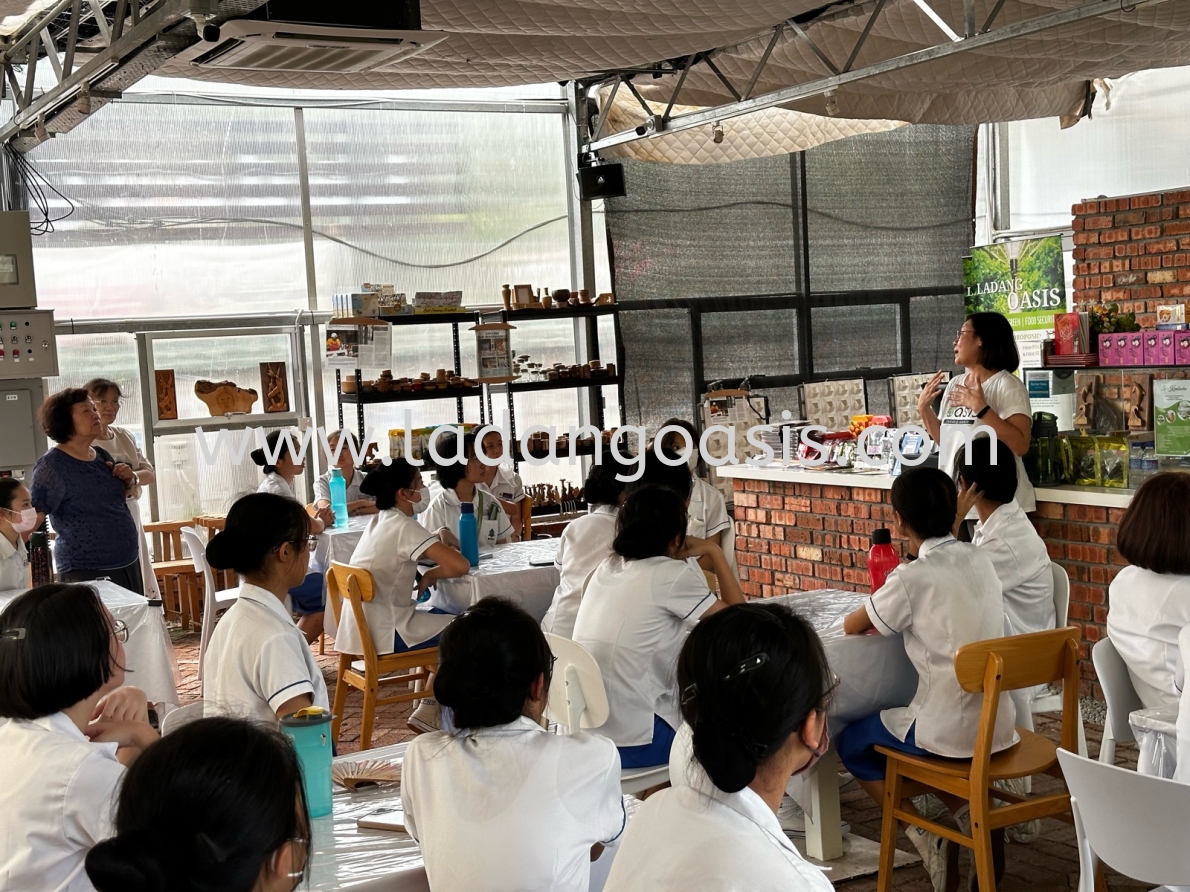 Hydroponic Workshop with Peng Hwa Private High