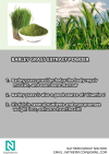 BARLEY GRASS EXTRACT POWDER Halal ingredients