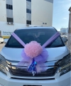 Bc9 Bridal Car Decorations Wedding Day 