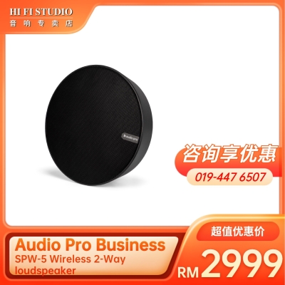 Audio Pro Business SPW-5 Wireless two-way loudspeaker