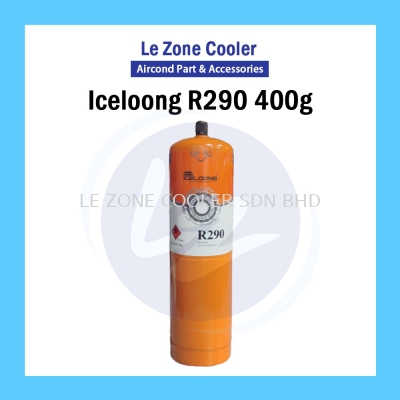 Iceloong R290 400g