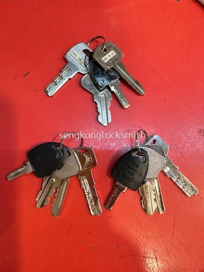 duplicate office and house keys 