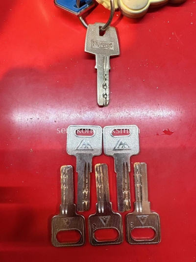 Duplicate security door keys and duplicate special keys